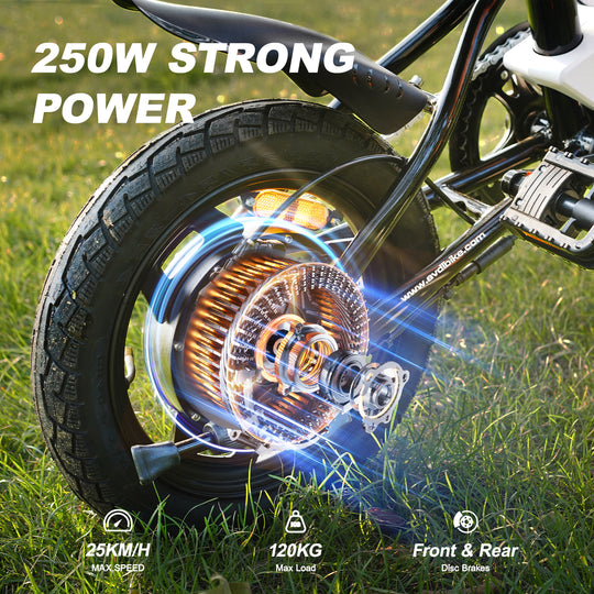 AVDL A02 250W Foldable Electric Bike 14