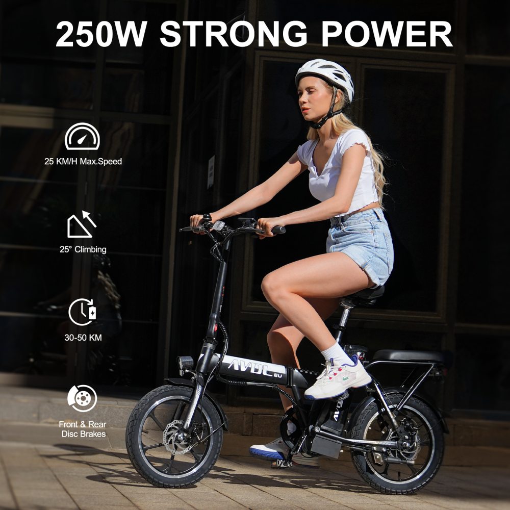 AVDL A10 250W Bicicletta Elettrica Pieghevole 16