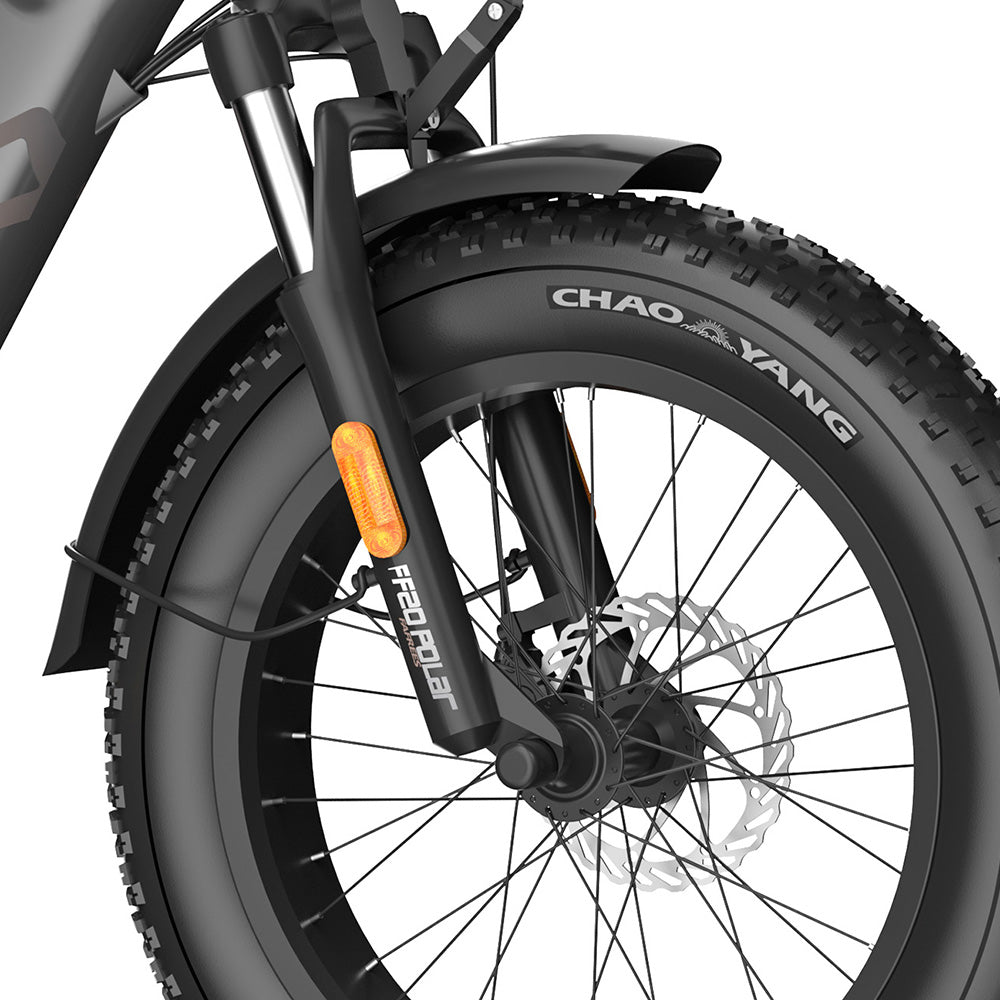 Fafrees FF20 Polar Vélo électrique tout-terrain 20