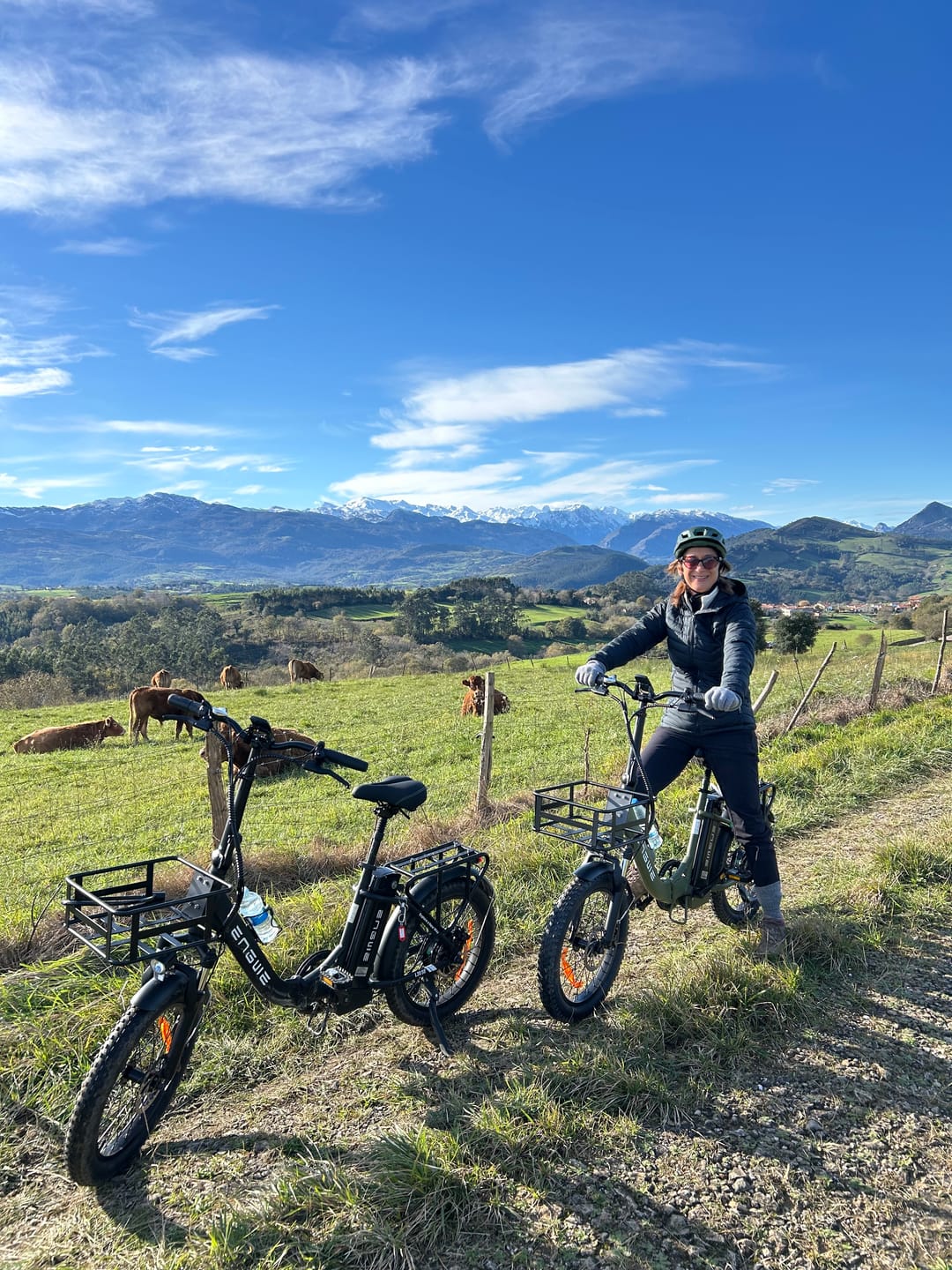 IENYRID ES6 1000W*2 Dual Motor 10 Inch Foldable E-Scooter 960Wh