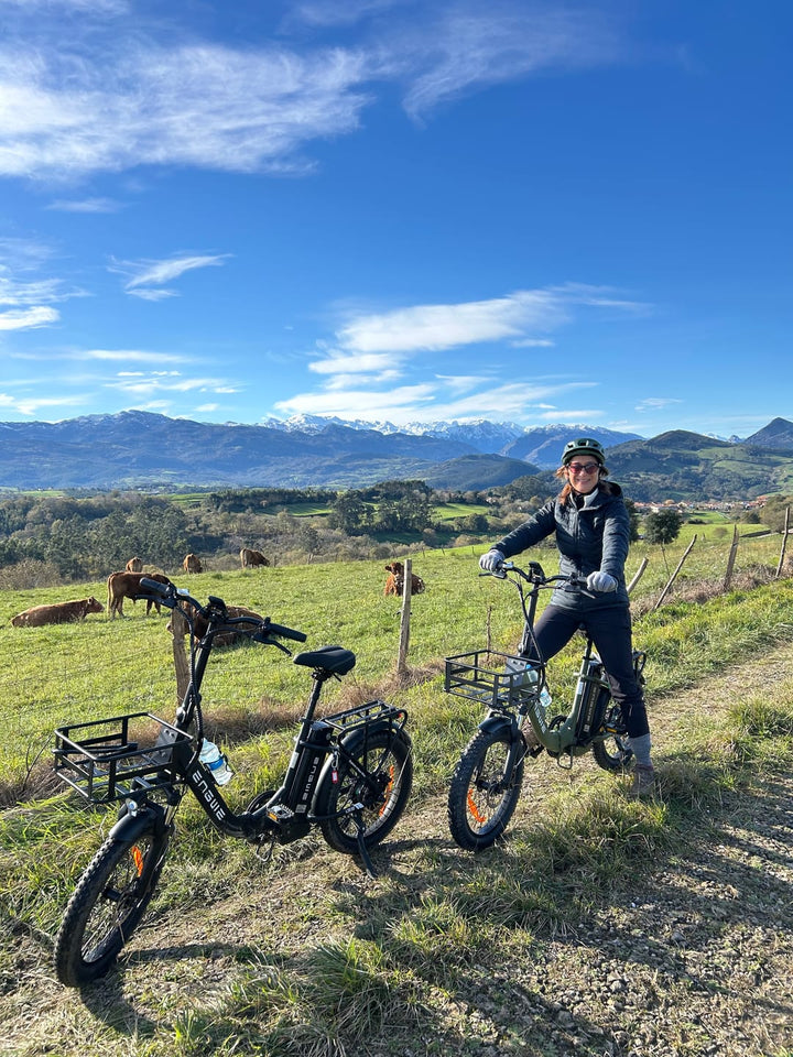 IENYRID ES6 1000W*2 Scooter Eléctrico Plegable de Doble Motor de 10 Pulgadas 960Wh Scooter Eléctrico Todo Terreno con Asiento