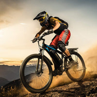 DUOTTS C29 750W 29" Electric Mountain Bike Hard Tail 720Wh E-bike 48V 15Ah Battery