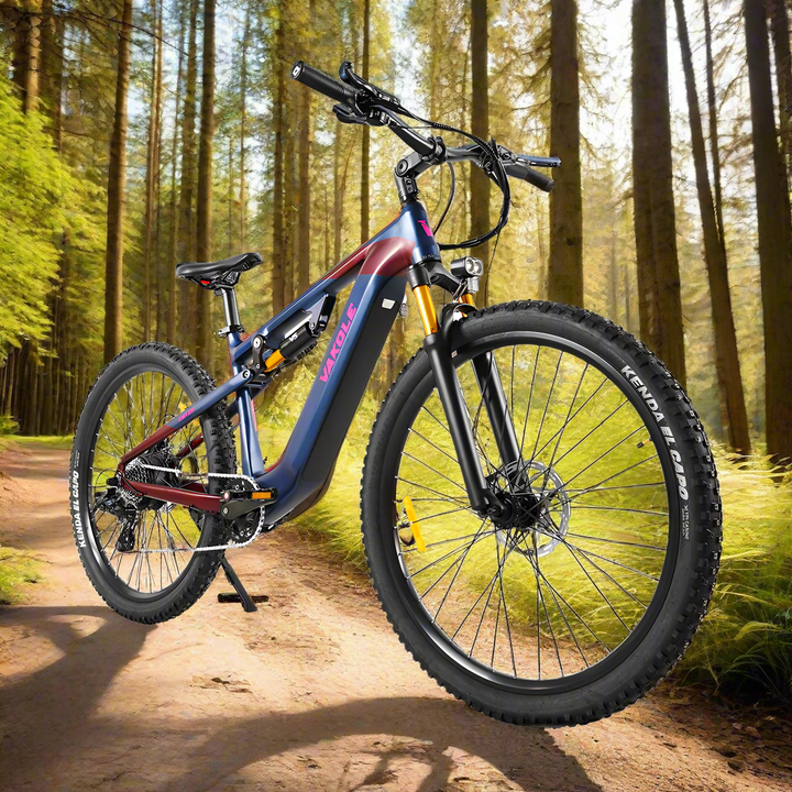 Vakole EMT29 250W 29" VTT Électrique 720Wh VTTAE de Cross-Country avec Capteur de Couple 48V 15Ah Batterie