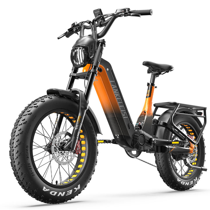 Lankeleisi RX800 Plus 2025 Version 1000W 20" Fat Bike 960Wh Full Suspension Electric Bike with Torque Sensor 48V 20Ah Battery SUV E-Bike