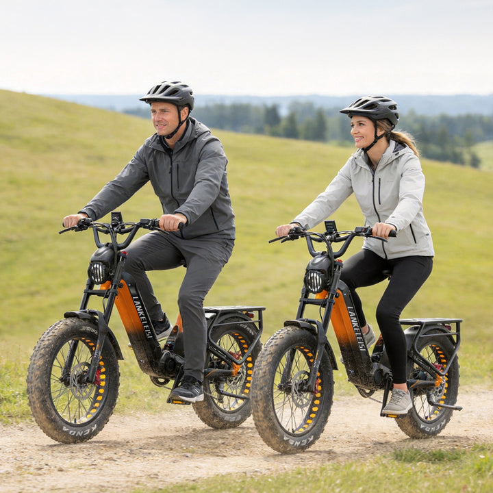 Lankeleisi RX800 Plus 2025 Version 1000W 20" Fat Bike 960Wh Full Suspension Electric Bike with Torque Sensor 48V 20Ah Battery SUV E-Bike