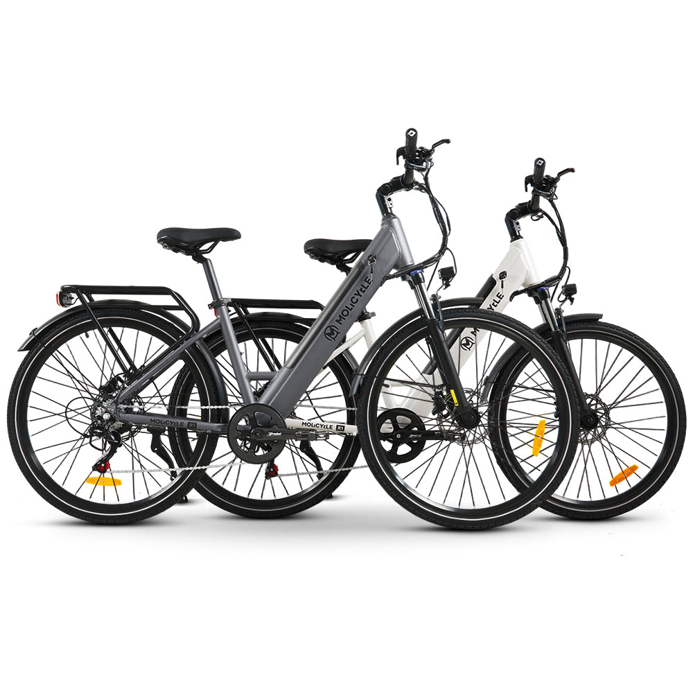 Molicycle R1 * 2 rowery elektryczne Pakiet
