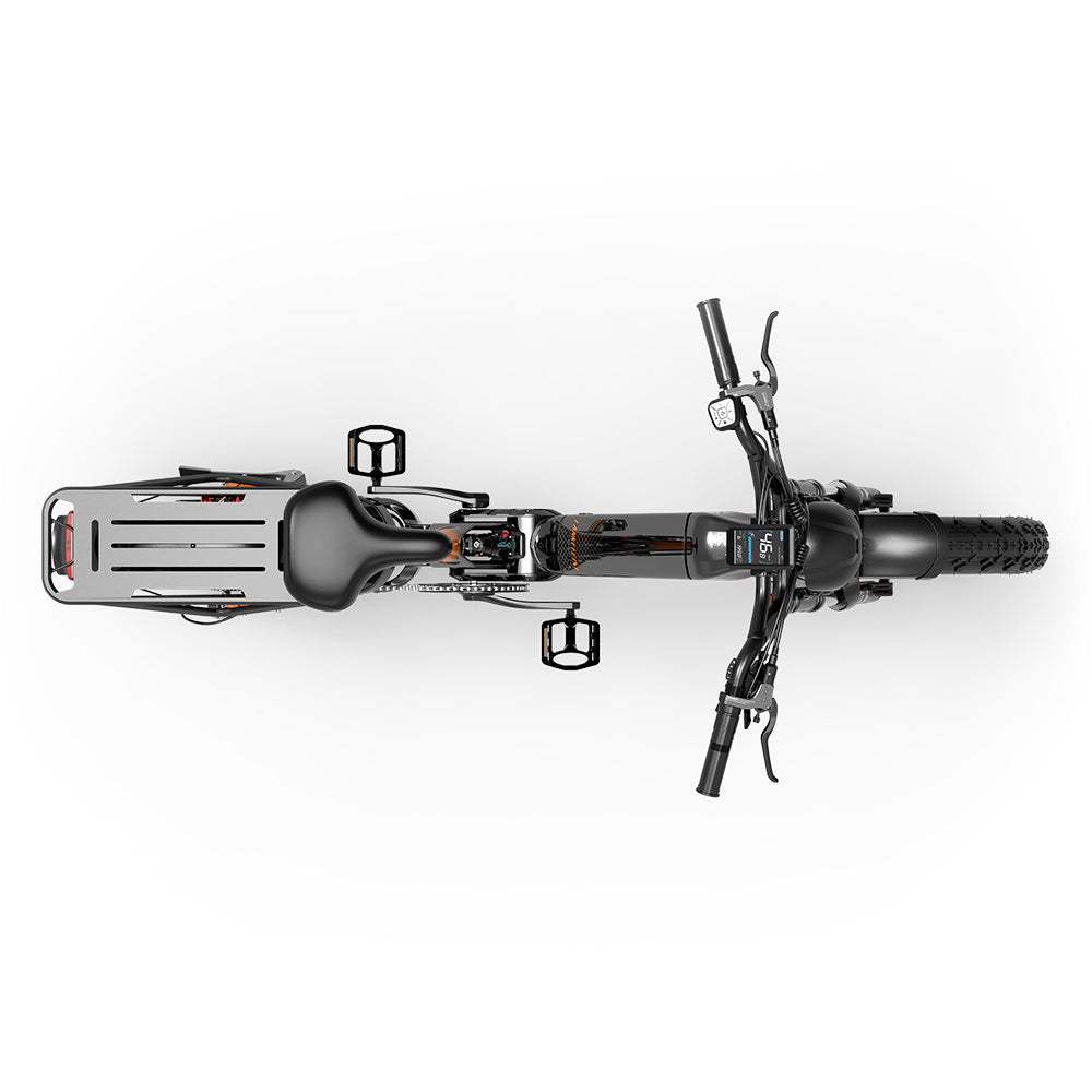 Lankeleisi RX800 Plus 2025 Version 1000W 20