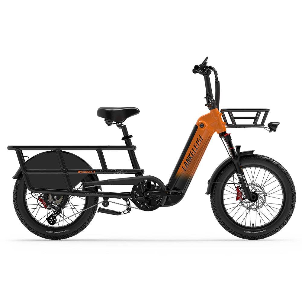 Electric Bike Cargo Bike Pedalata Assistita Pedalata Assistita