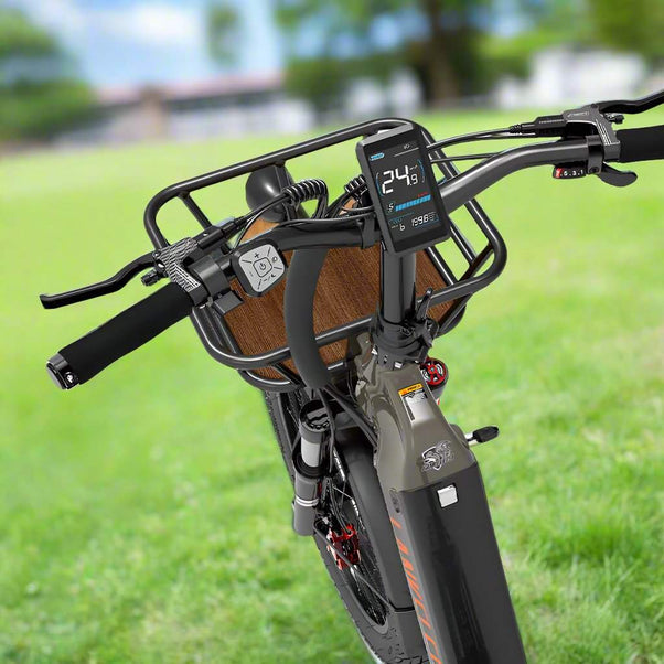 Lankeleisi Wombat-1 1000W 20