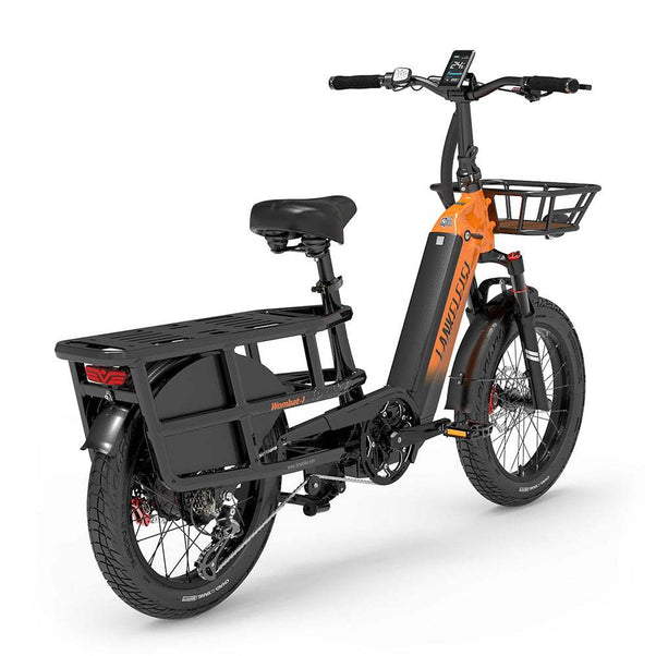 Lankeleisi Wombat-1 1000W 20