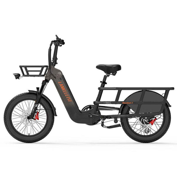 Lankeleisi Wombat-1 1000W 20