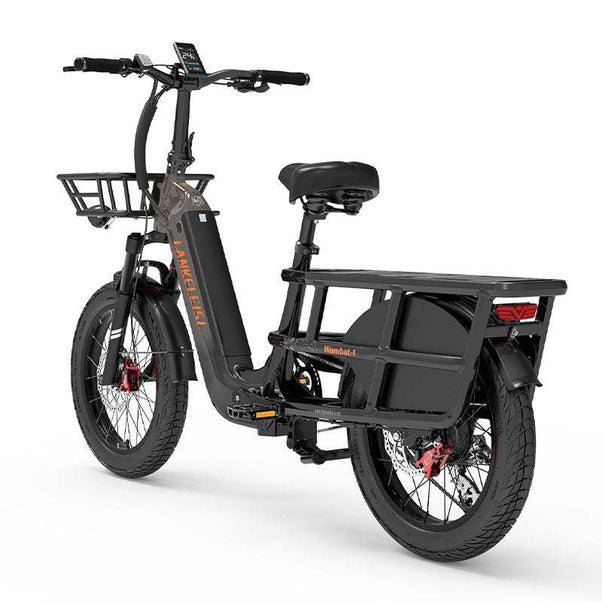 Lankeleisi Wombat-1 1000W 20