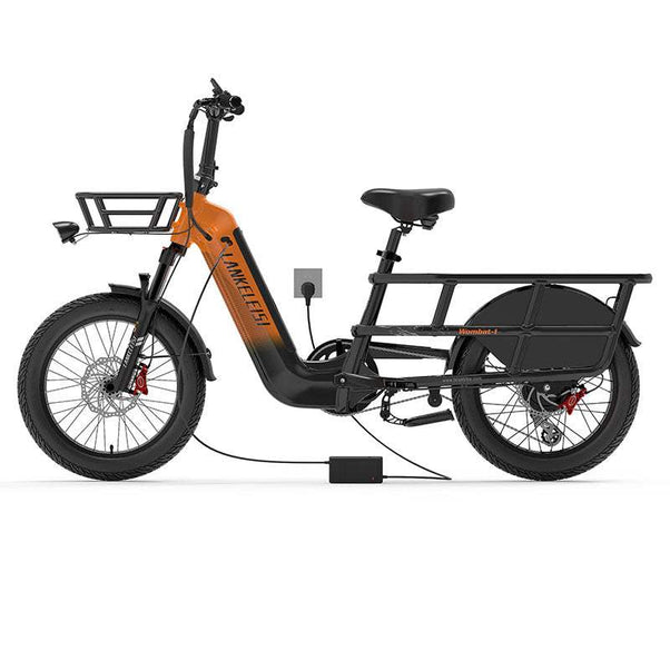 Lankeleisi Wombat-1 1000W 20