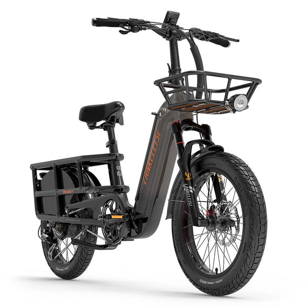 Lankeleisi Wombat-1 1000W 20