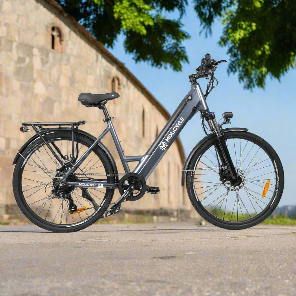 Molicycle R1 250W 26" Electric Trekking Bike City E-bike 14.5Ah Support APP