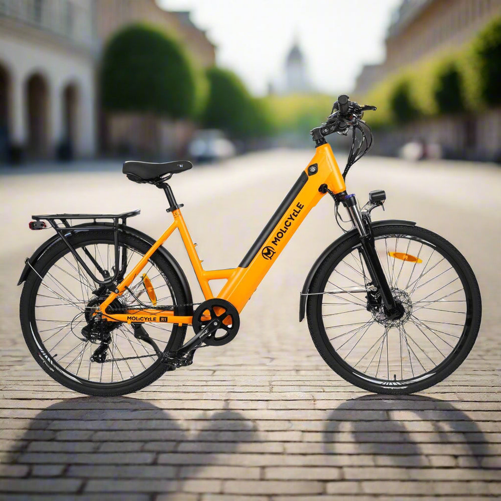 Molicycle R1 250W 26" Electric Trekking Bike 532Wh City E-bike 14.5Ah Support APP - Buybestgear