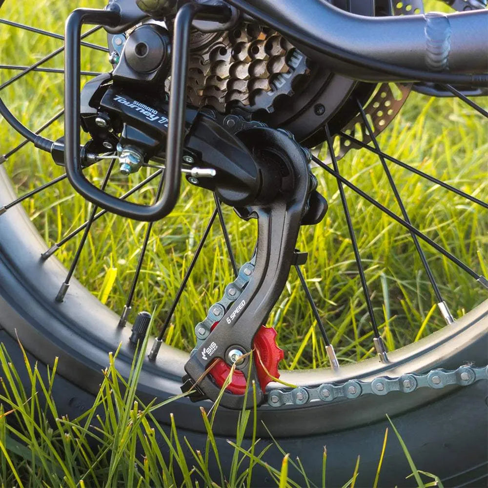 vakole vt4 250w 20 faltbares elektrofahrrad fat bike 13ah e-bike Vakole VT4 * 2 E-Bikes Paket