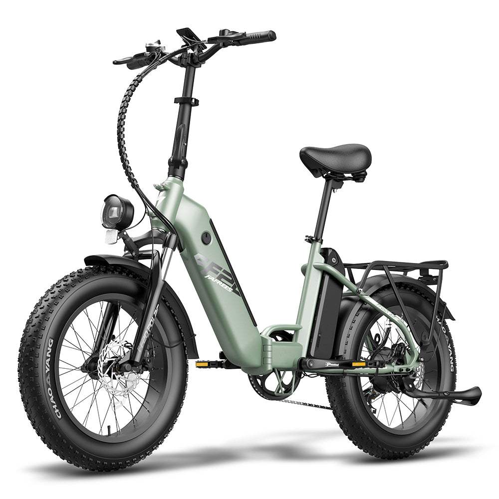 Fafrees FF20 Polar 500W Dual Batteries 10.4Ah*2 20" Foldable Electric Bike Fat Bike - Buybestgear