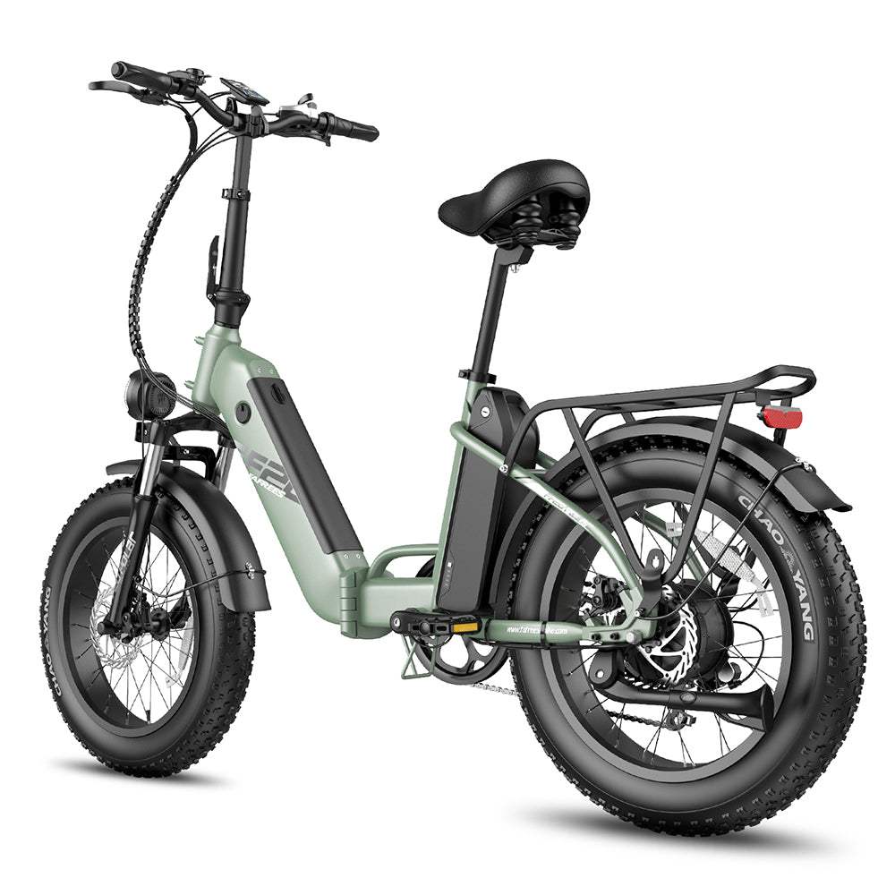 Fafrees FF20 Polar 500W Dual Batteries 10.4Ah*2 20" Foldable Electric Bike Fat Bike - Buybestgear