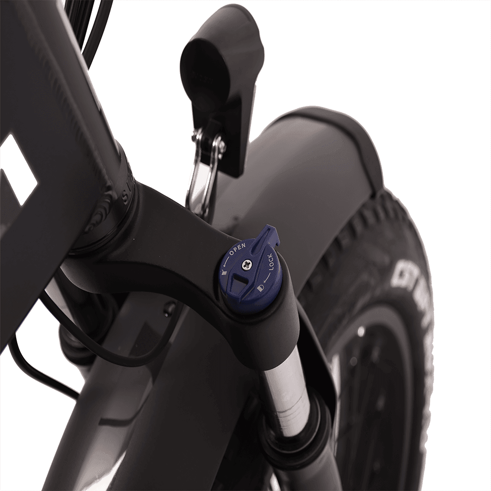 Kaisda K2 Pro 250W 20“ Fat Bike Foldable E Mountain Bike EMTB 12.8Ah Bafang Motor - Buybestgear