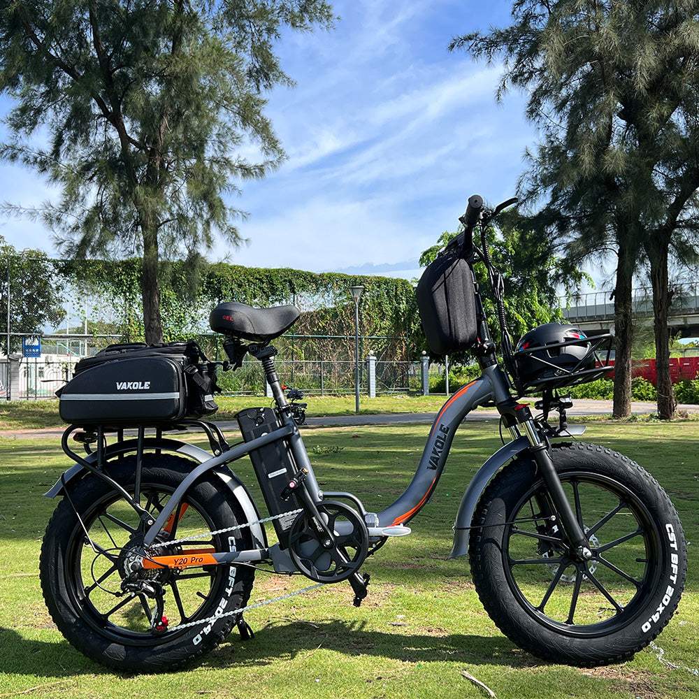 Vakole Y20 Pro 750W 20